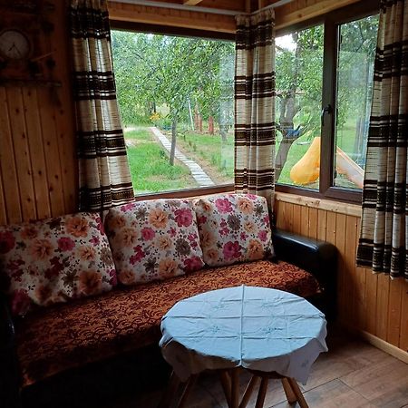 Casa Sara Nucsoara Hotel Ngoại thất bức ảnh