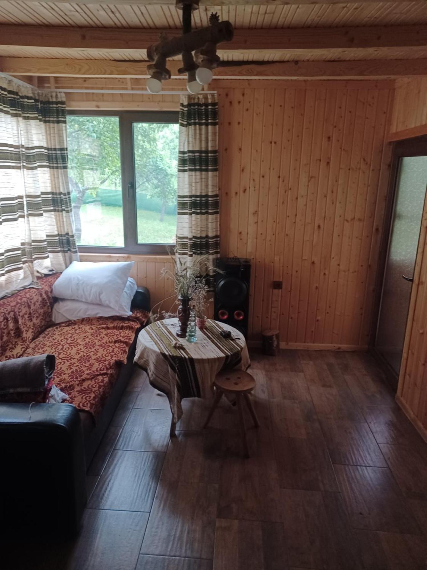 Casa Sara Nucsoara Hotel Ngoại thất bức ảnh
